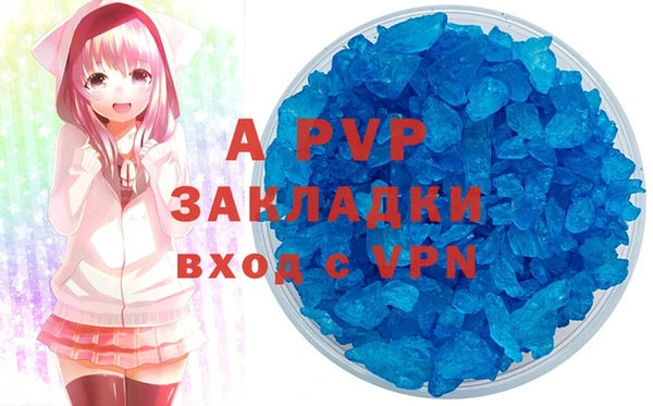 стаф Алексин