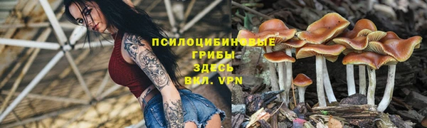 индика Алексеевка